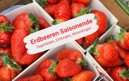 Erdbeeren Saisonende 2026: Beerenhof Tegerfelden, Döttingen und Würenlingen - Hof Gygax, Mönthal Aargau