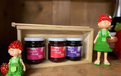 Konfitüre Erdbeeren, Himbeeren, Chriesi vom Beerenhof Tegerfelden Aargau